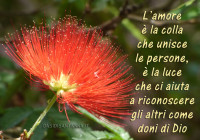 la lingua dell'amore