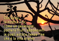 germogli fico