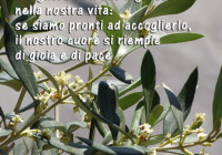 domenica delle Palme